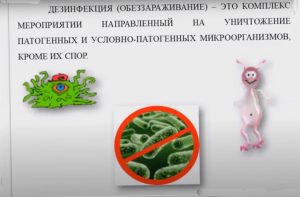 Служба дезинфекции услуги
